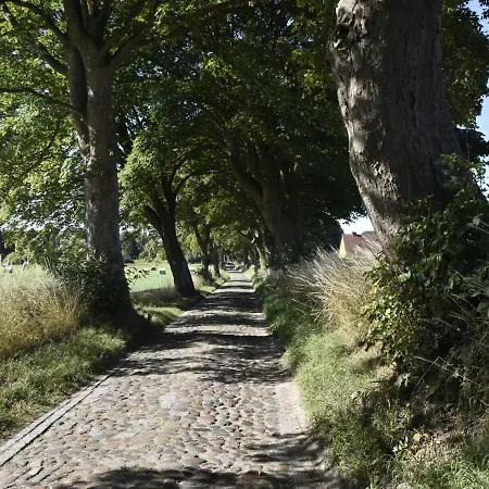 Gartenwohnung Satow