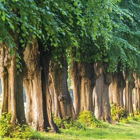 Gartenwohnung * Satow