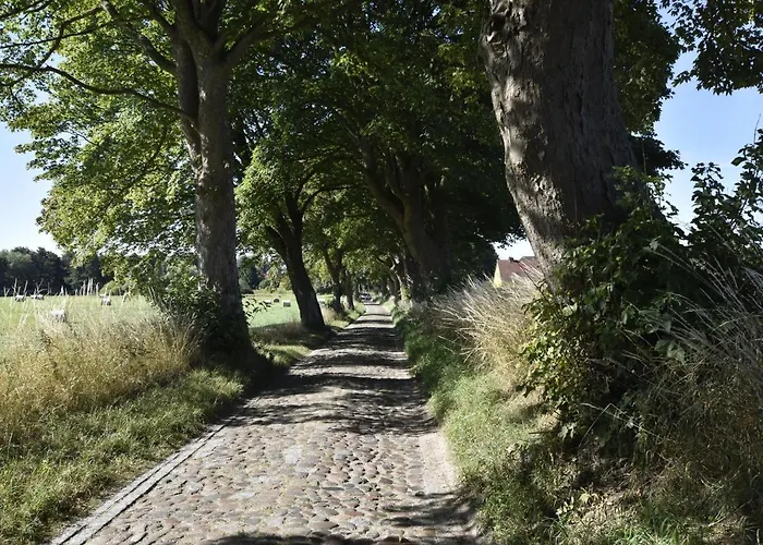 Gartenwohnung Satow