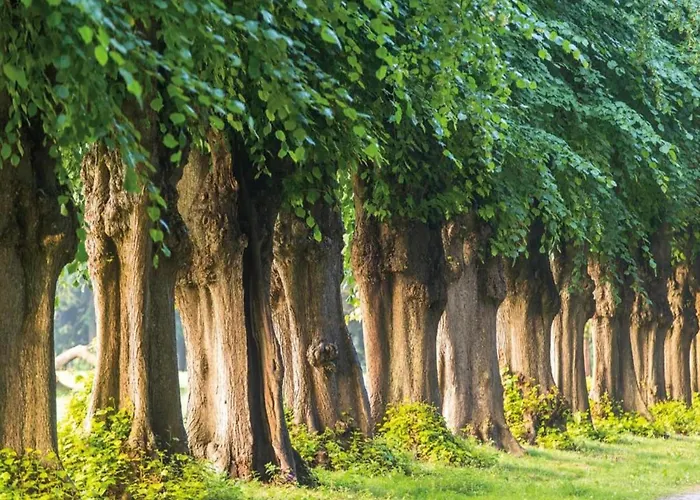 Gartenwohnung * Satow